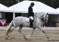 JUBILEO DE MARTET, DE YEGUADA SAN NICOLAS,  MONTADO POR RAFAEL ORTIZ, ORO EN SEMENTALES DE 4 A